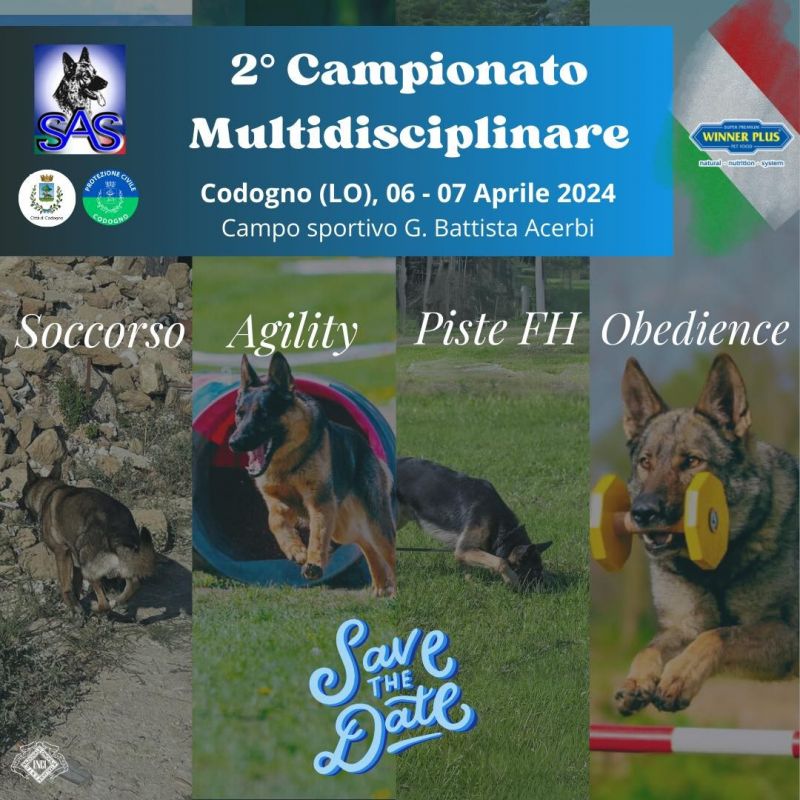 AGILITY - 2° CAMPIONATO MULTIDISCIPLINARE