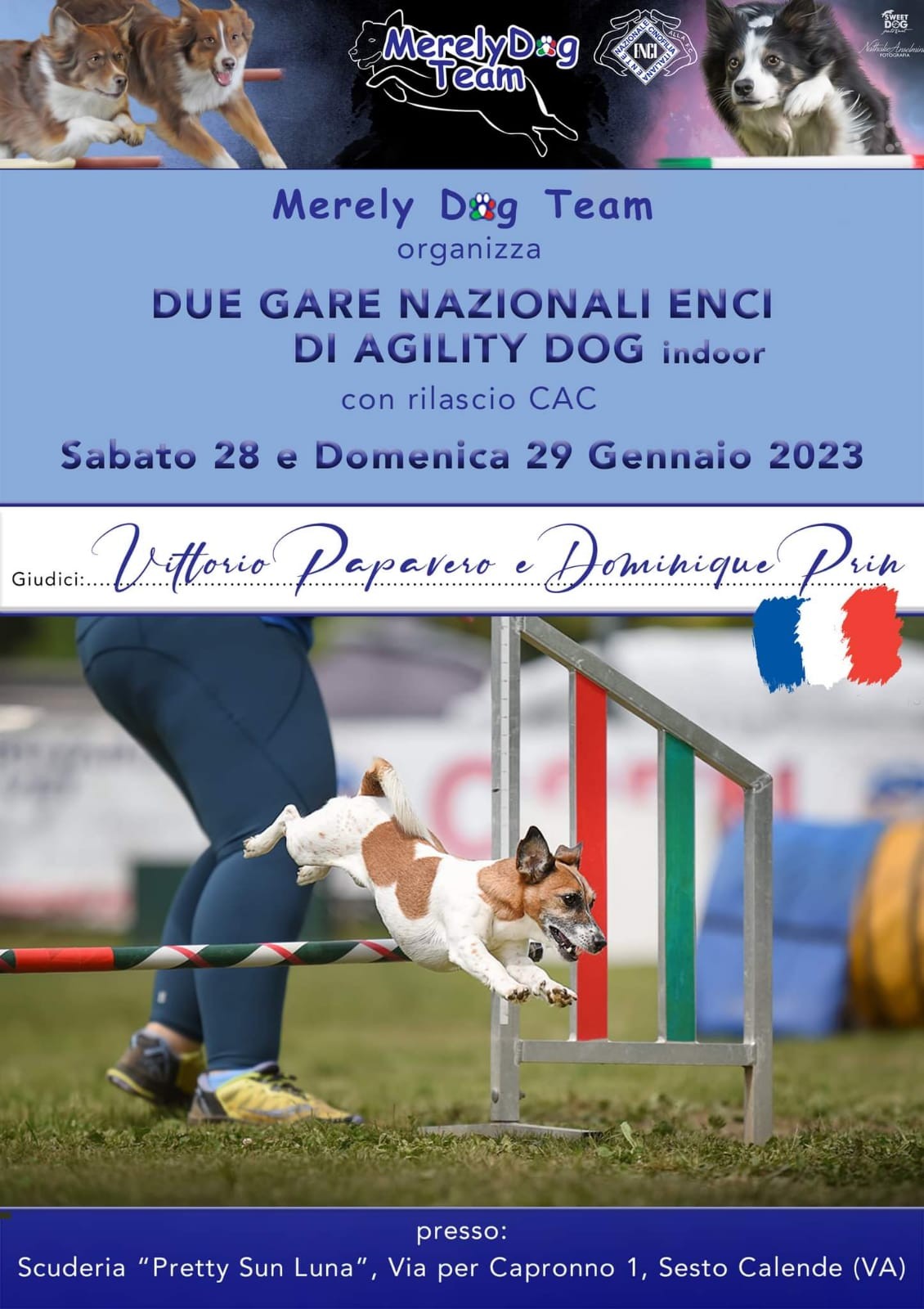 Merely Dog Team organizza Sabato 28 28Gennaio 2023