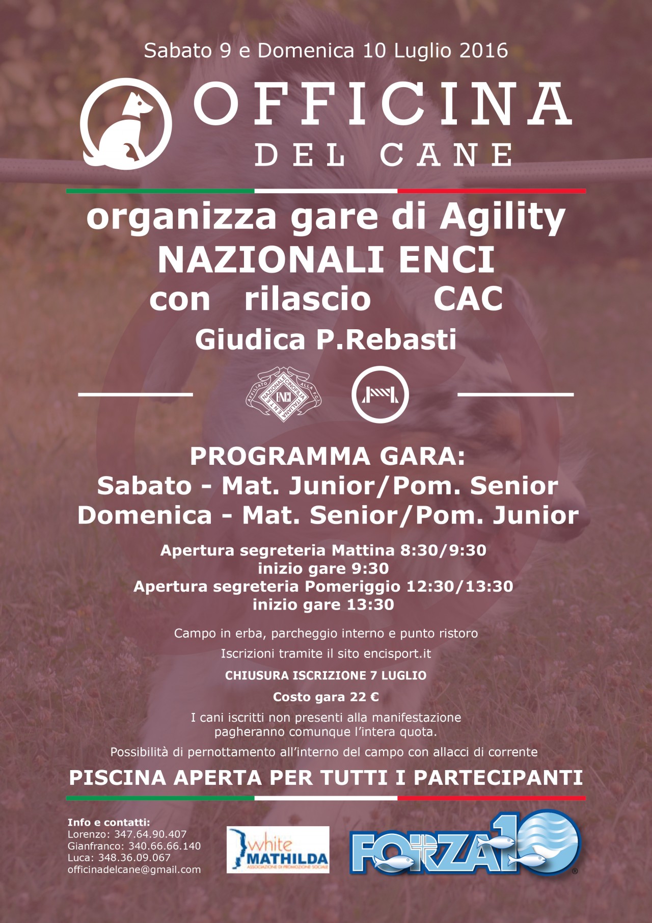 Gara Nazionale Agility Weekend 2.0