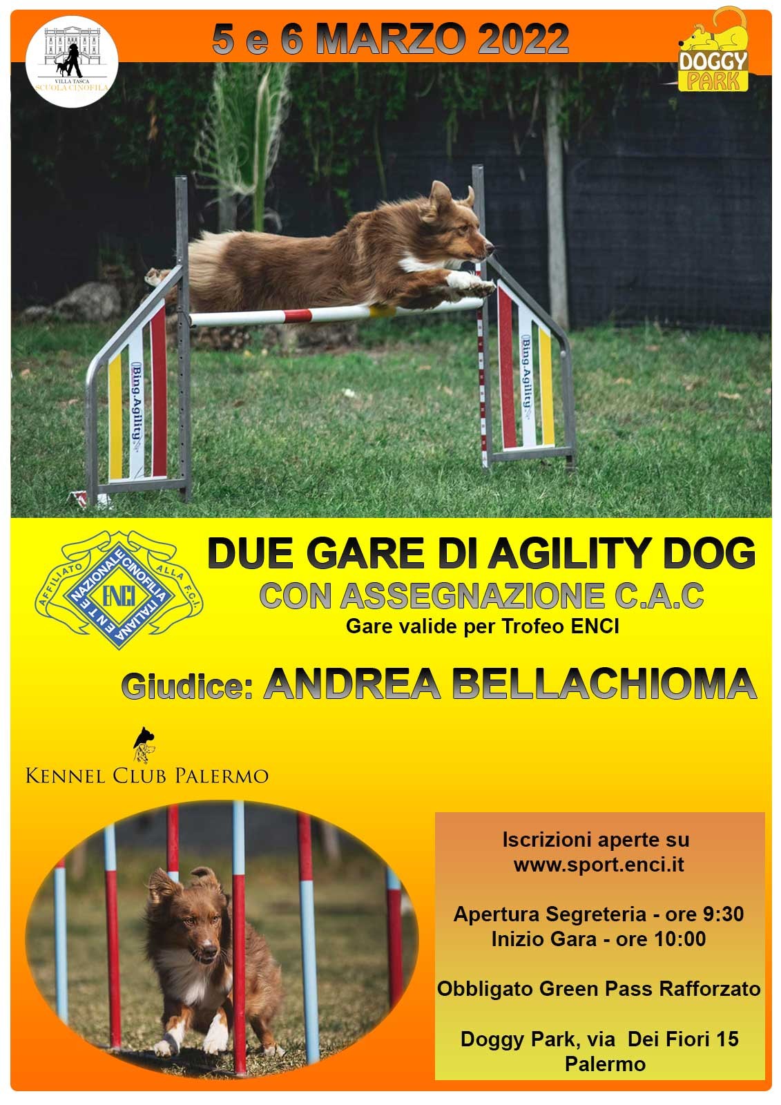 5 Marzo - Gara Agility Dog Doggy Park 
