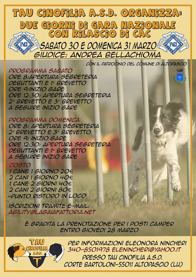 Gara di Agility dog Tau Cinofilia - 30 marzo