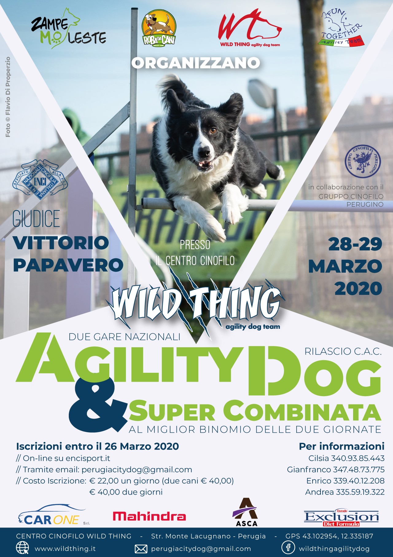 Gara Agility Perugia City Dog 28 e 29 marzo 2020