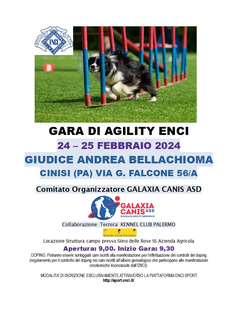 PROVA DI AGILITY PRESSO GALAXIA CANIS ASD CINISI PA