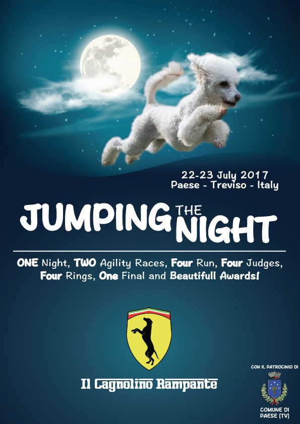 Jumping The Night