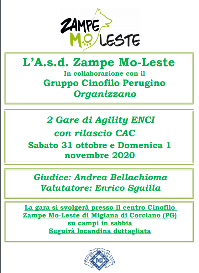 Gara Agility con Rilascio C.A.C. 1 novembre 2020