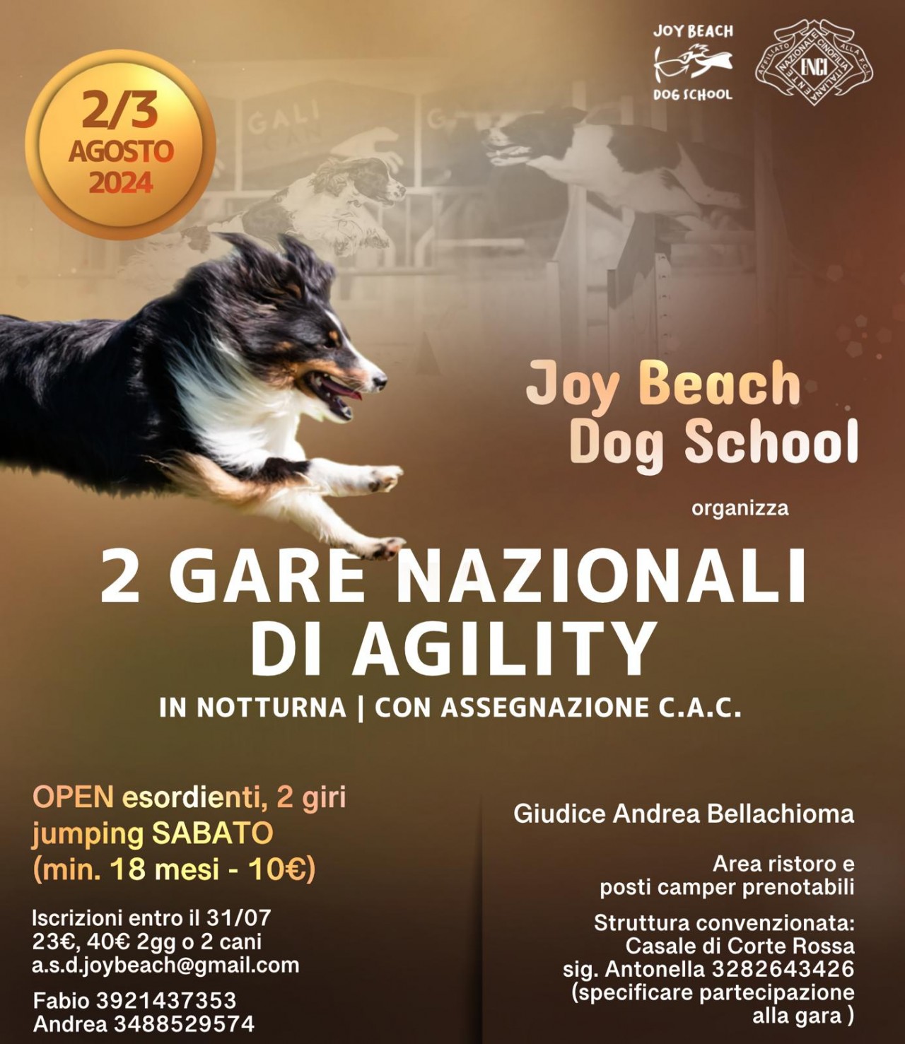 Gara Nazionale di Agility in notturna del 2 e 3 agosto 2024