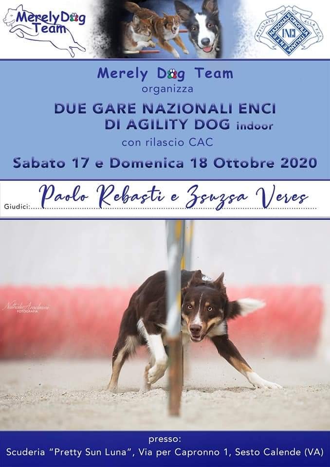 Merely Dog Team 18 Ottobre organizza