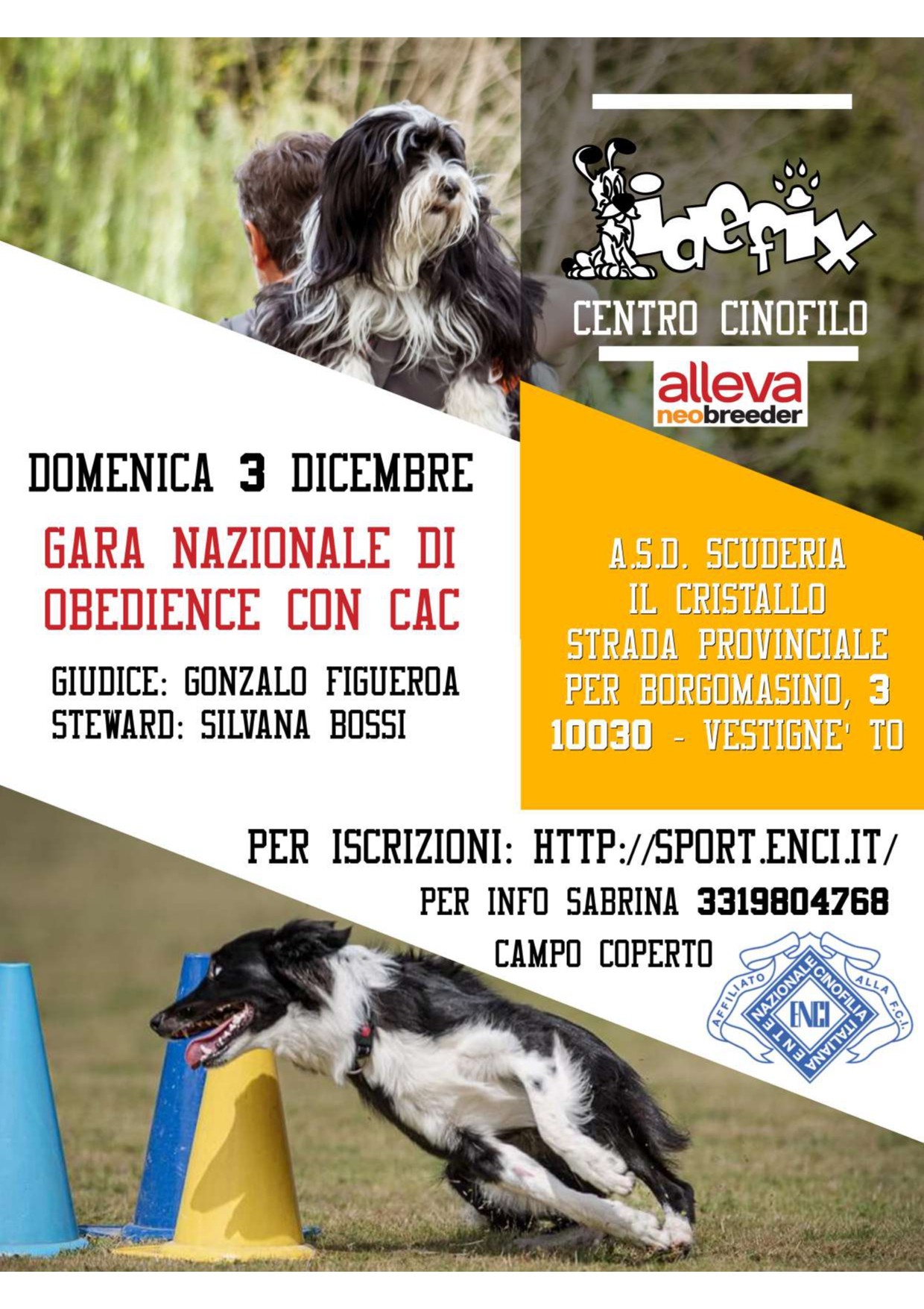 Gara Nazionale di Obedience 3 Dicembre