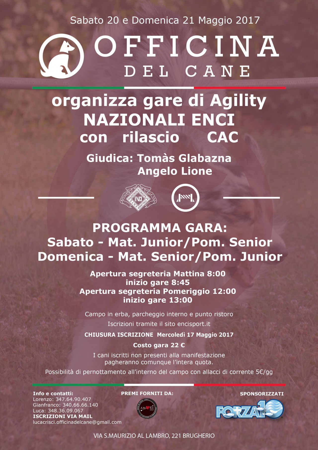 Officina del Cane organizza una prova nazionale di Agility Dog a Brugherio