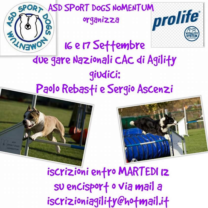 Gara di agility Sport Dogs Nomentum