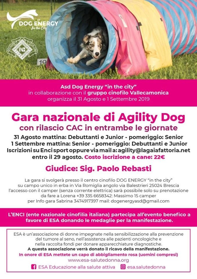 Gara AGility Dog Energy - 31 agosto
