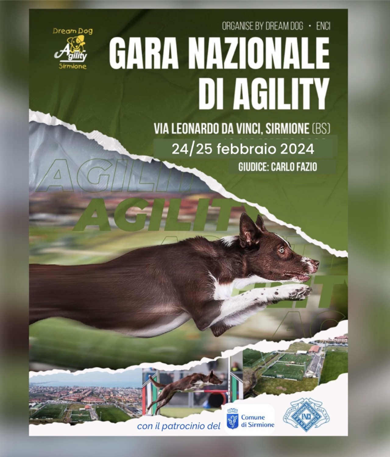 Gara di Agility domenica 25 febbraio