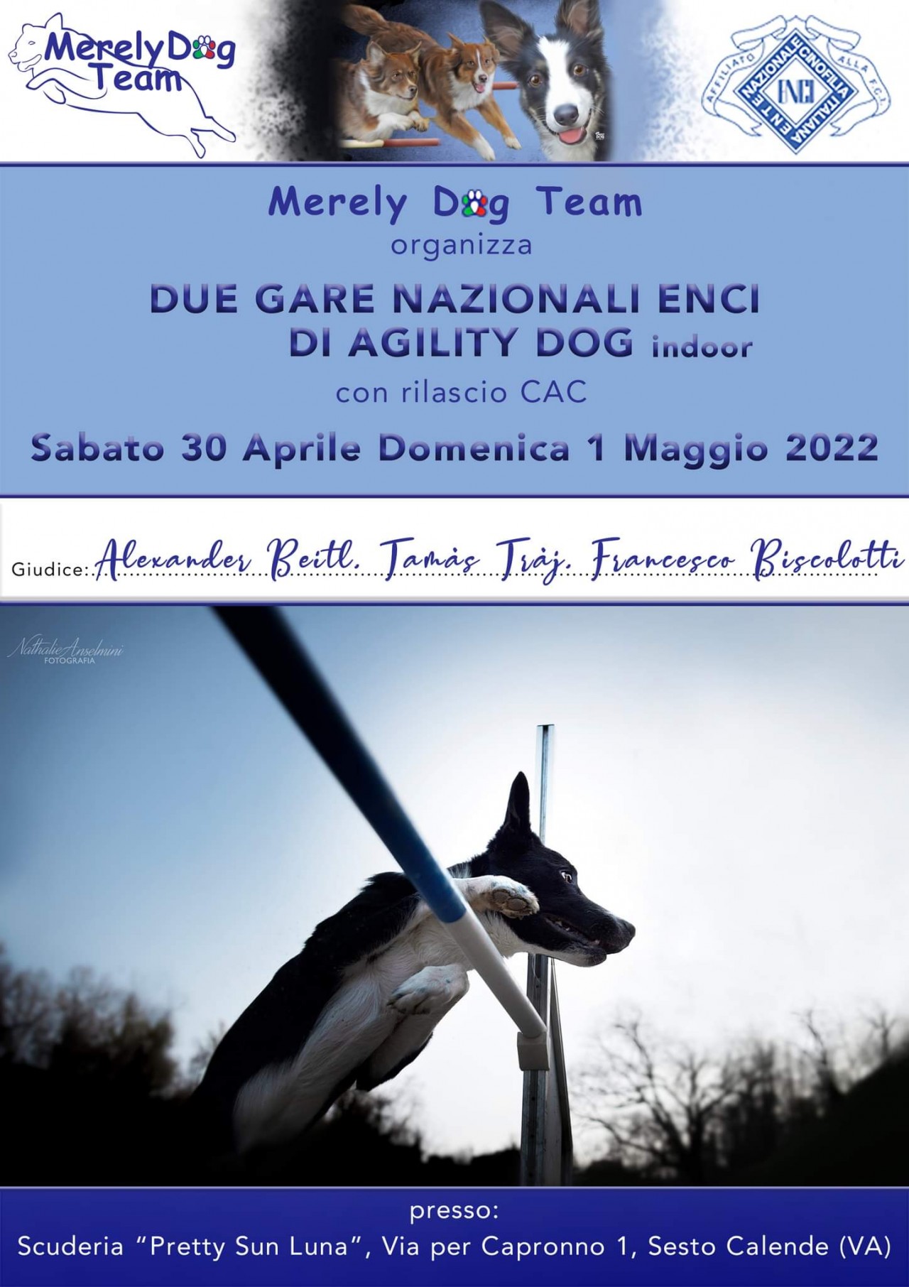 Merely Dog Team Domenica 1 Maggio