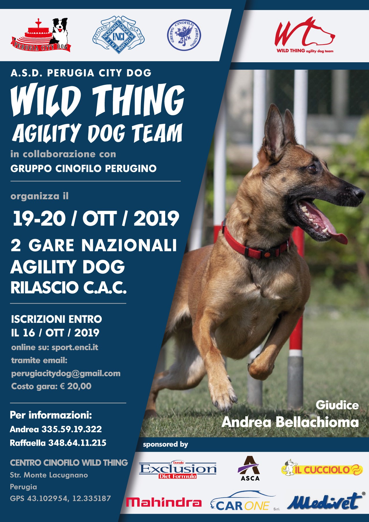 Gara Agility Perugia City Dog  19 e 20 ottobre 2019