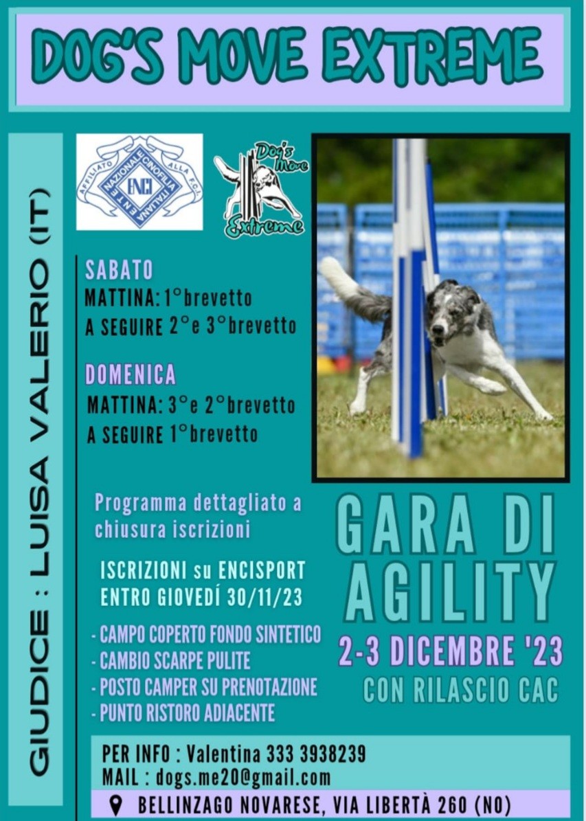 PROVA DI AGILITY DOG