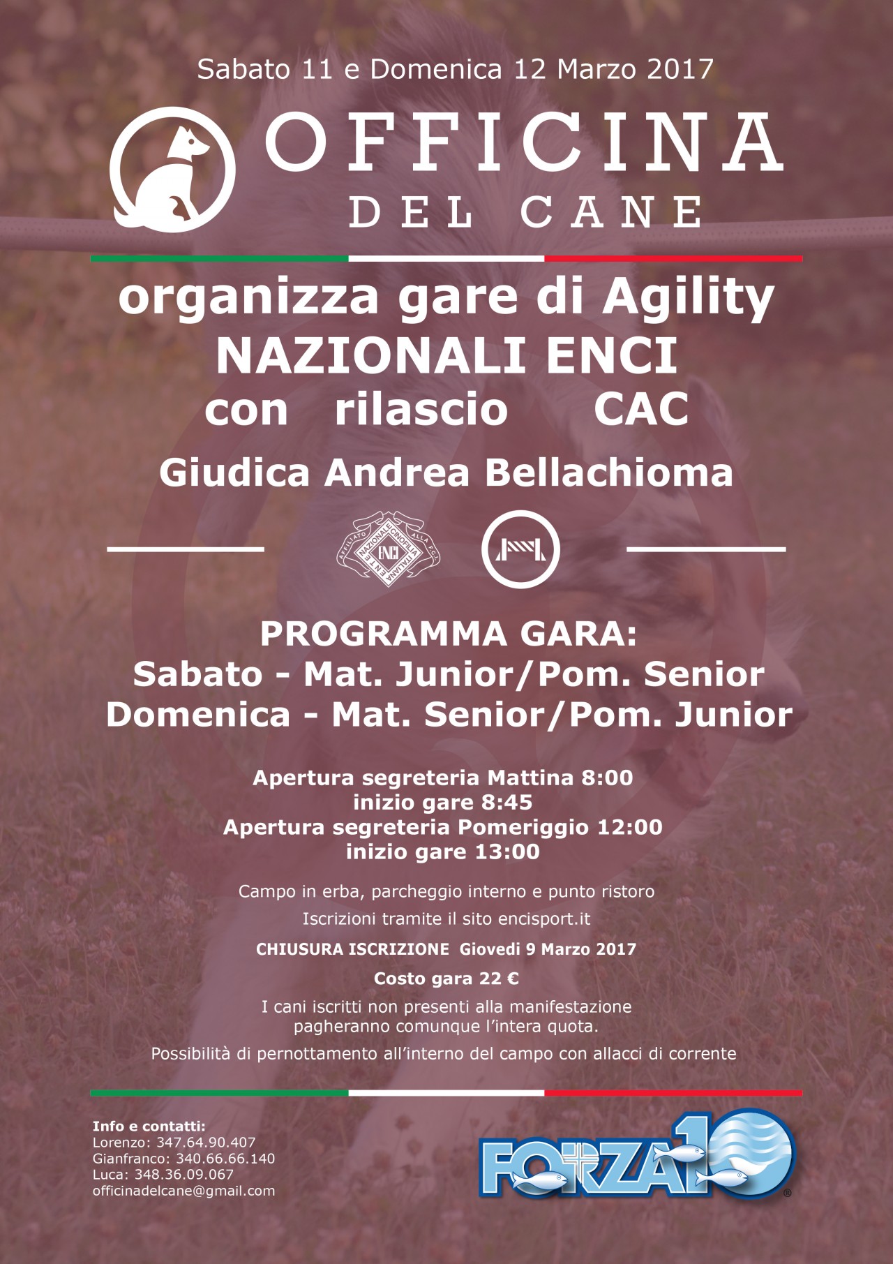 Officina del Cane di Brugherio organizza prova nazionale di agility 