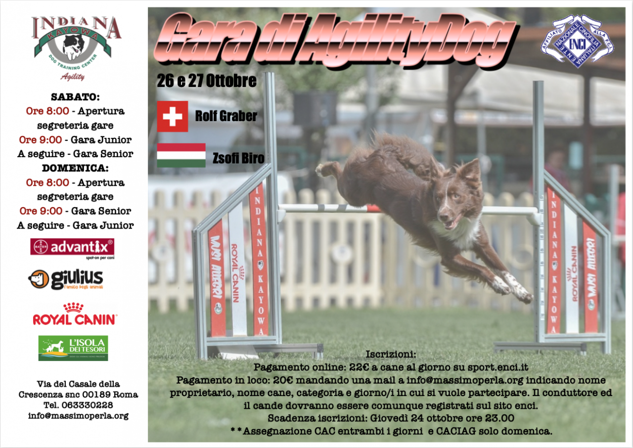 Gara di Agility Dog 27/10/2019