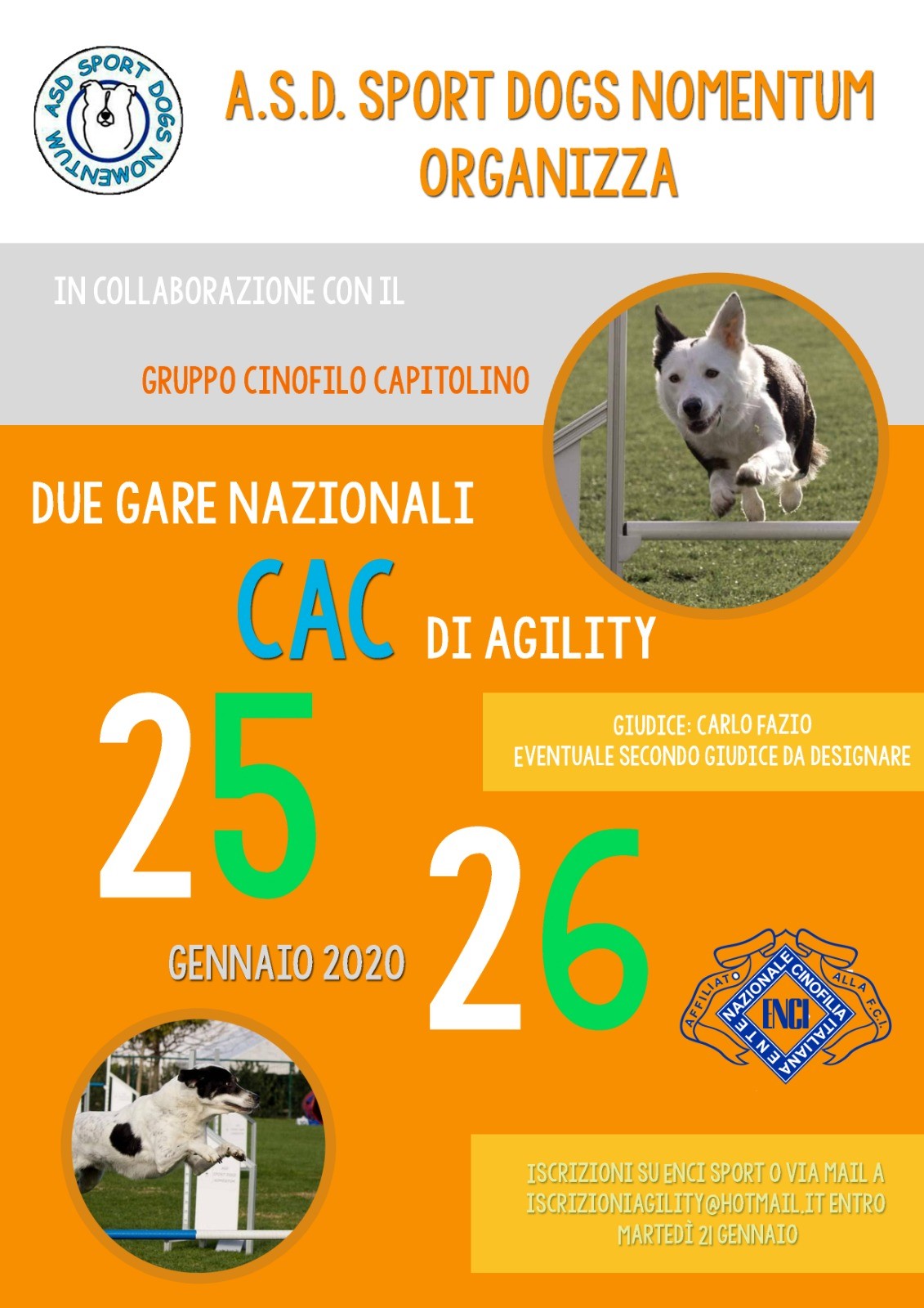 Gara di Agility sabato 25 gennaio