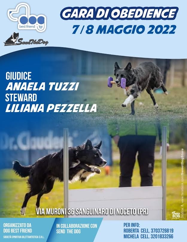 GARA DI OBEDIENCE