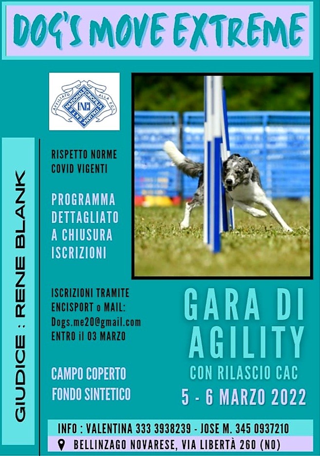 GARA DI AGILITY DOG