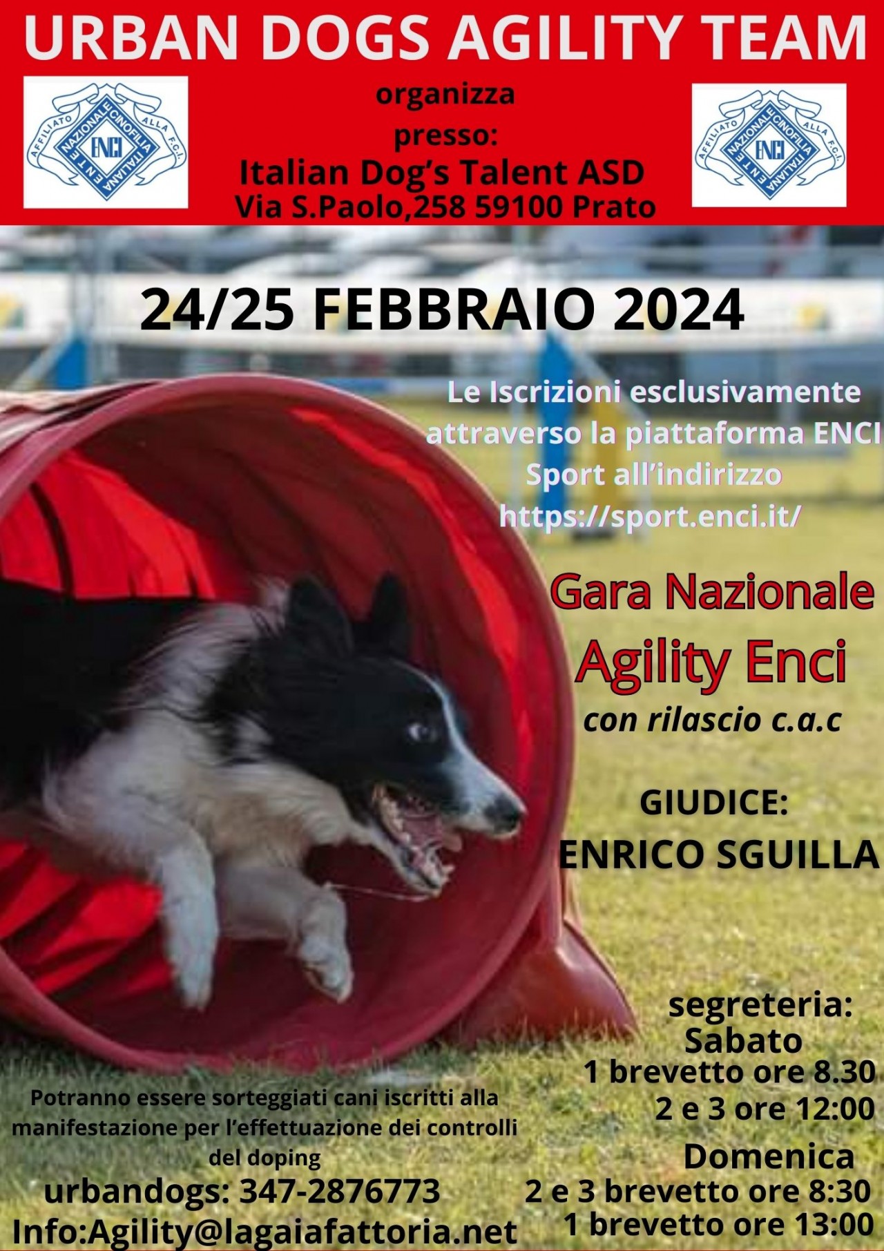 Gara Nazionale Agility Dog