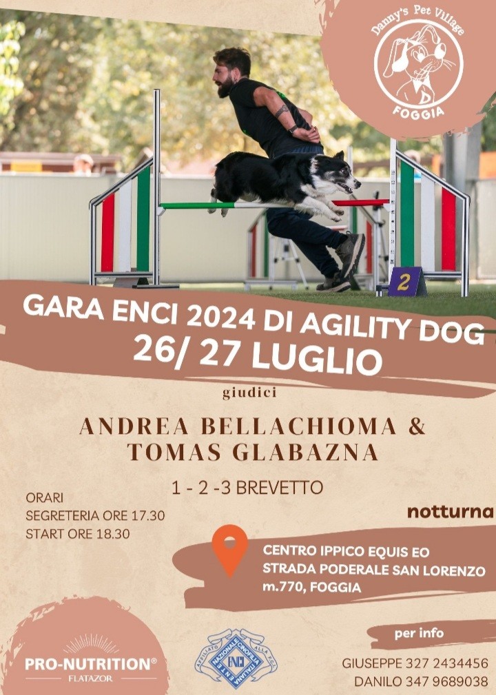 gara agility dog