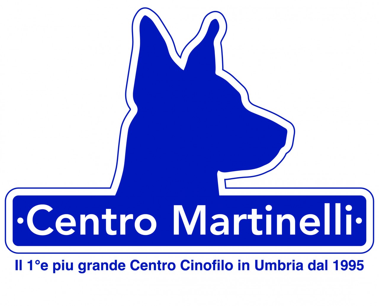 CENTRO MARTINELLI ASD