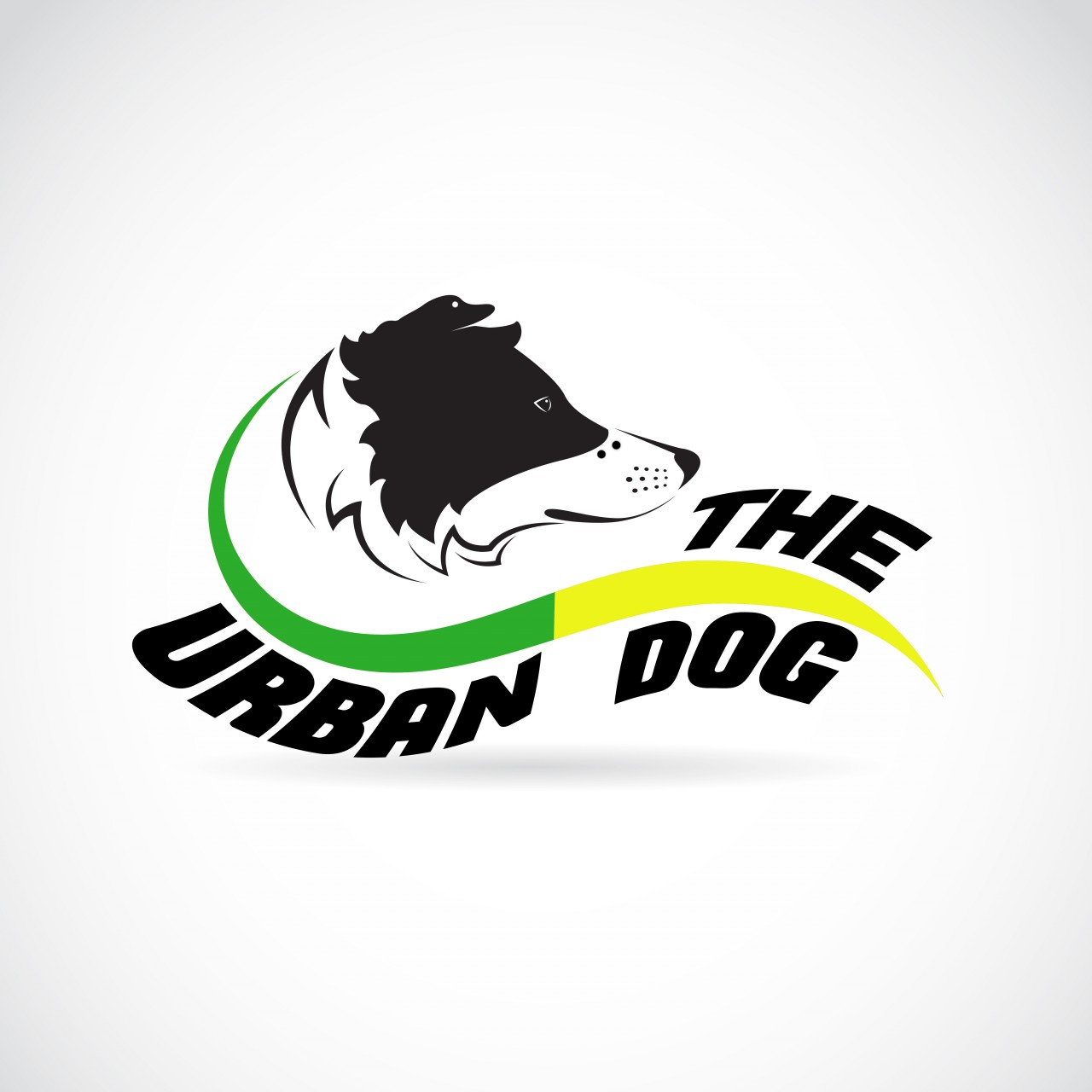 THE URBAN DOG 