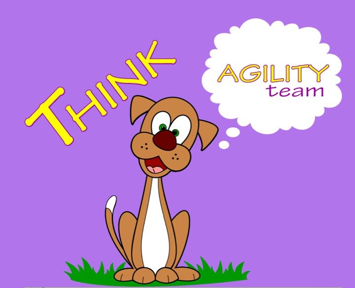 Think agility team