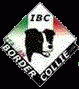 ITALIAN BORDER COLLIE CLUB