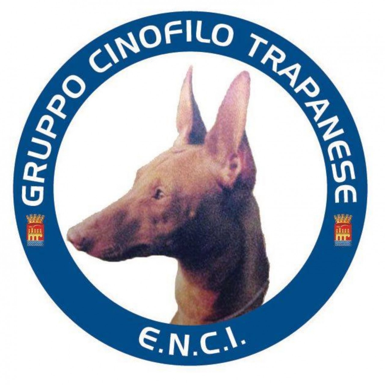 gruppocinofilotrapanese