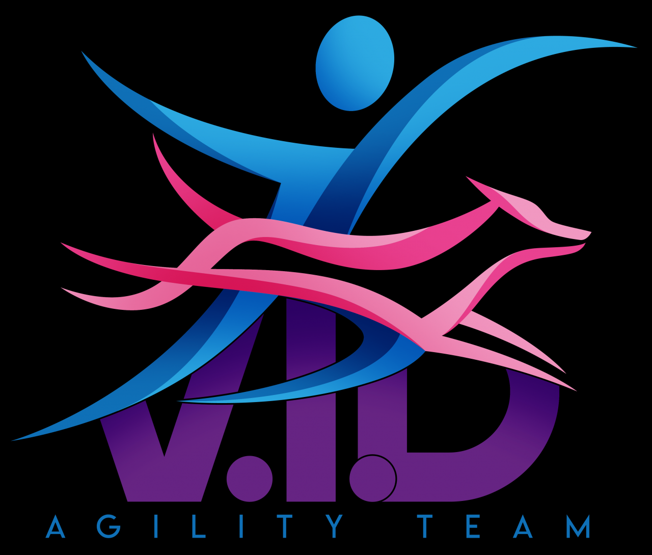 V.I.D. Agility Team A.S.D.