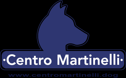 CENTRO MARTINELLI ASD