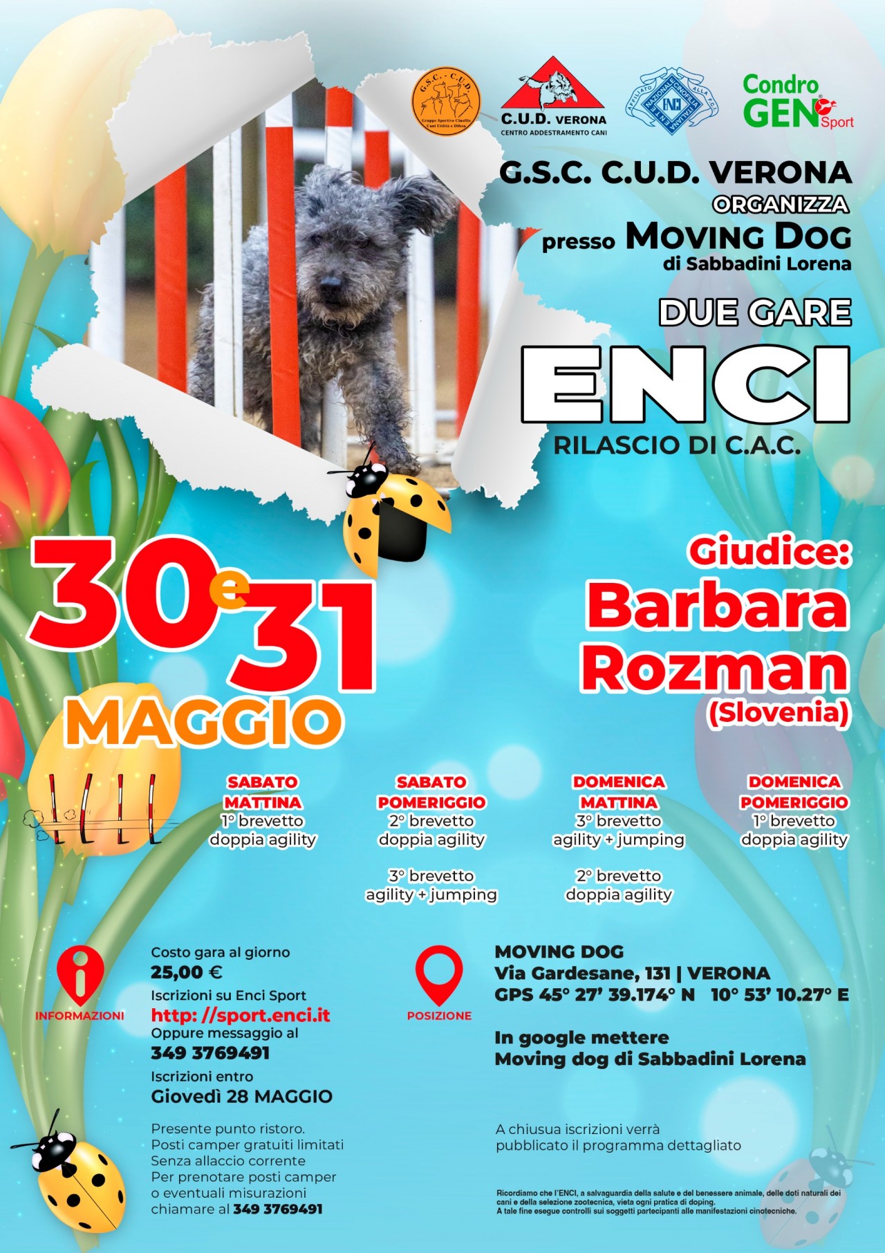 GSC CUD SEZ. VERONA ORGANIZZA 2 GARE ENCI CAC E DOPPIA AGILITY IL 30 E 31 MAGGIO 2026