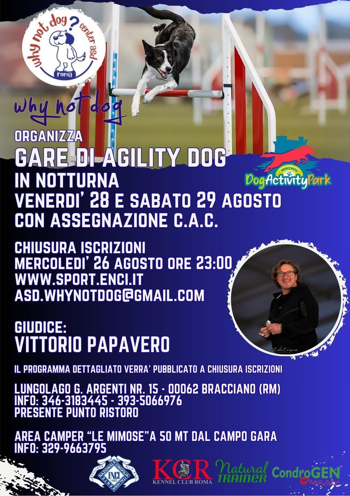 Gara di Agility in notturna del 28 e 29 agosto