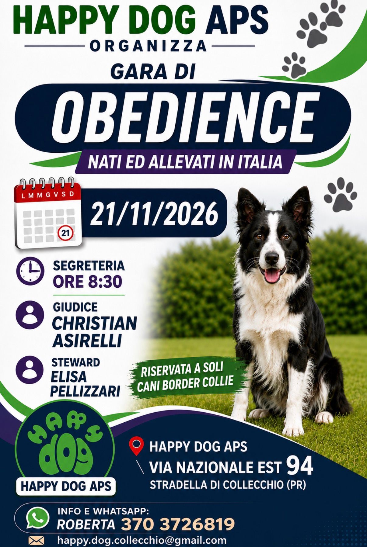 nati ed allevati in italia riservata a soli cani border collie