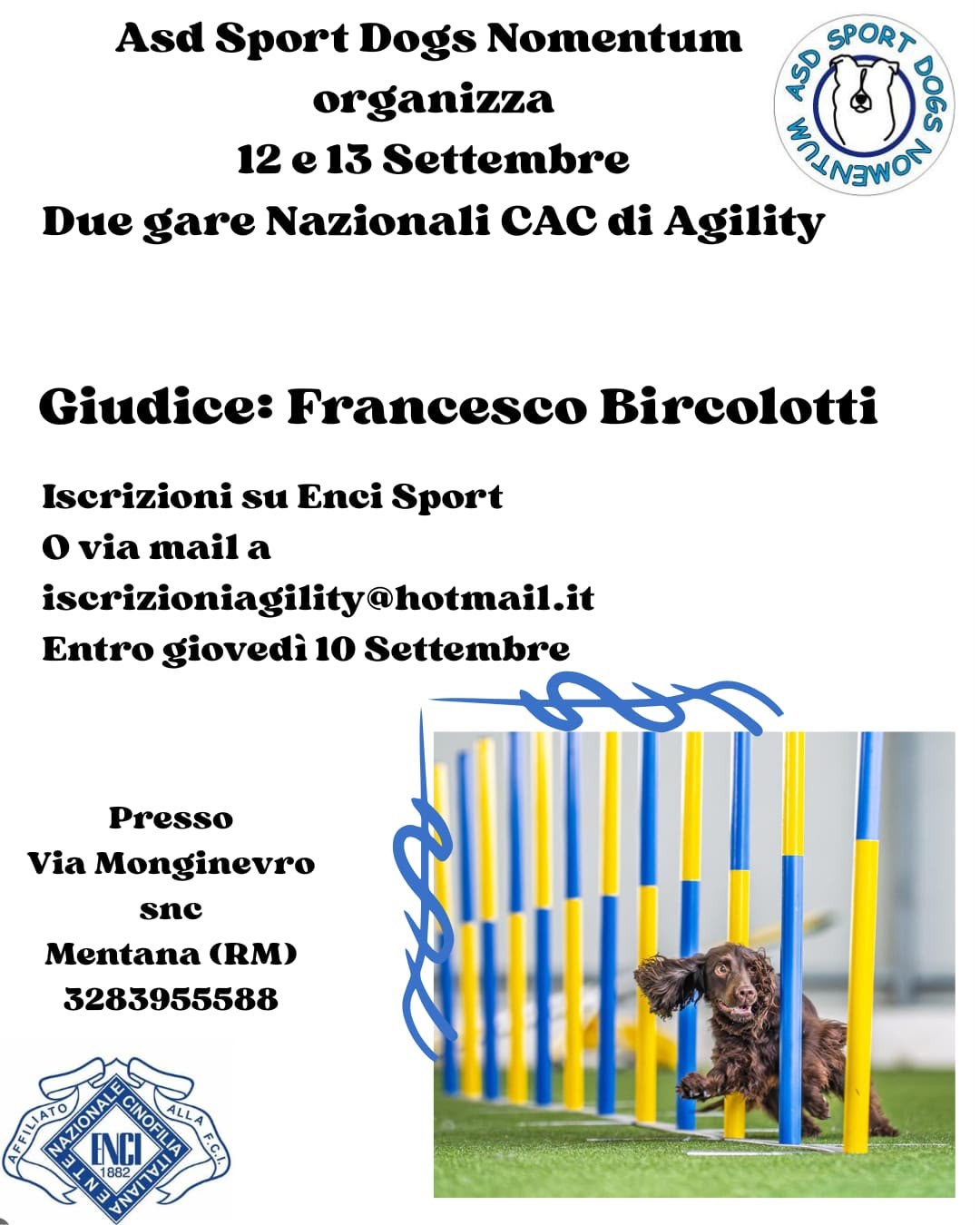 Gara di agility domenica 13 settembre 