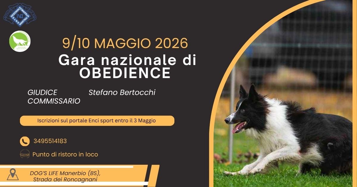 GARA NAZIONALE DI OBEDIENCE 9/19 MAGGIO 2026