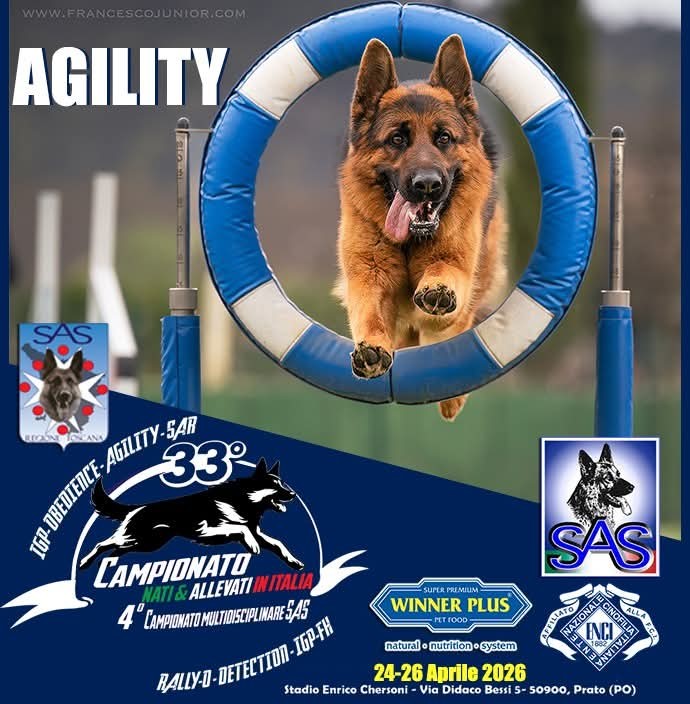 Campionato Multidisciplinare S.A.S. Agility