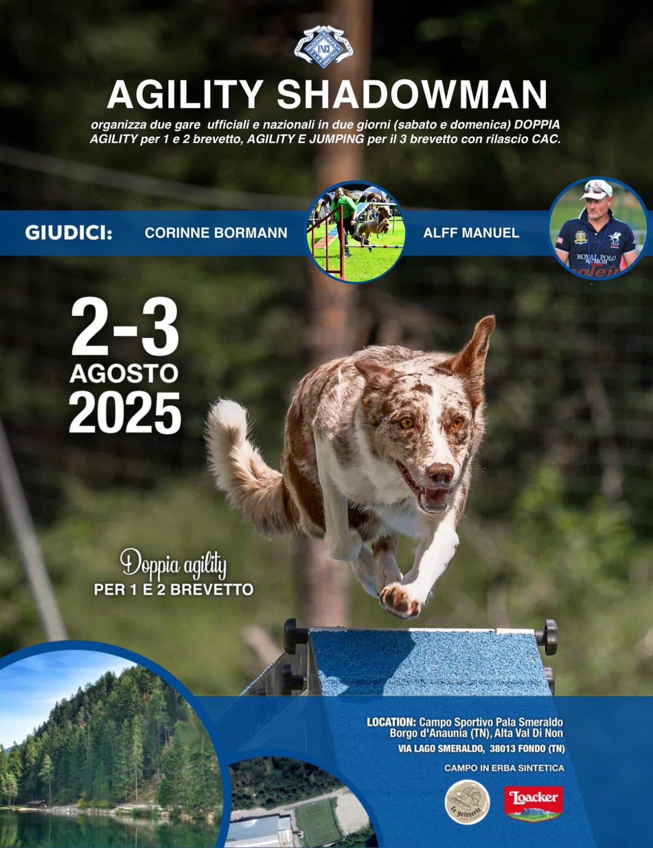 DOMENICA PALASMERALDO FONDO TN