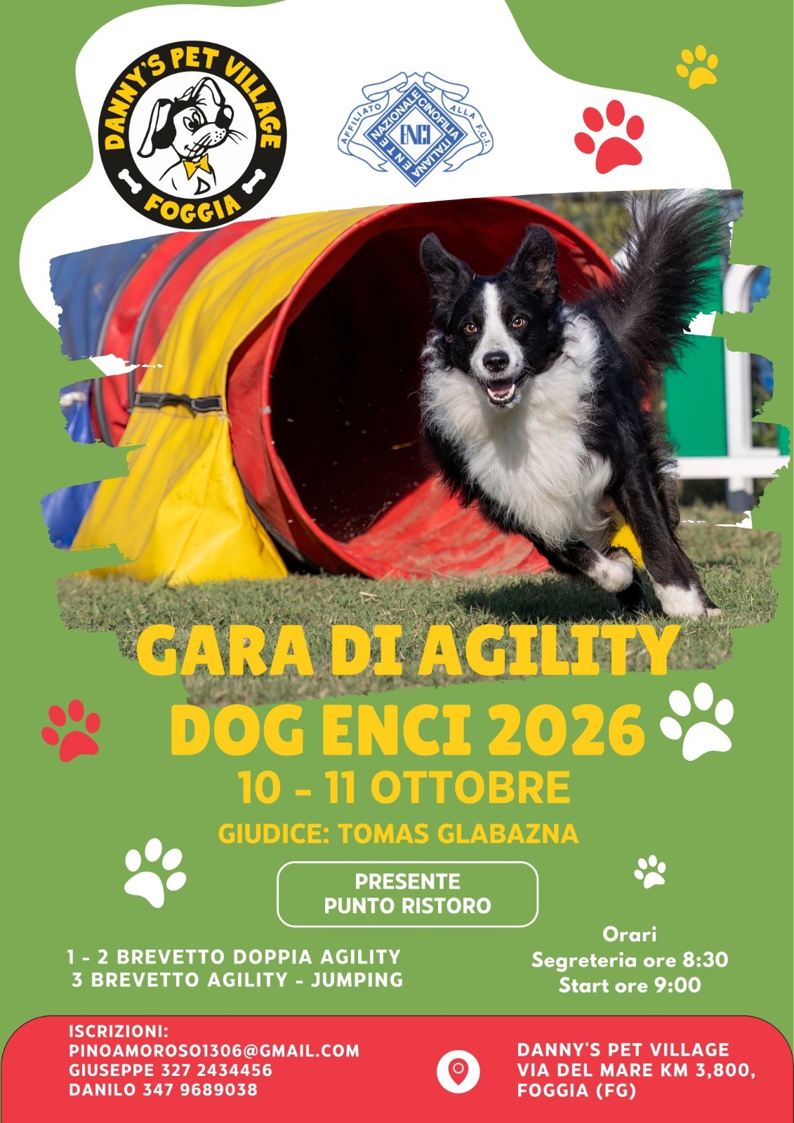 GARA AGILITY DOG