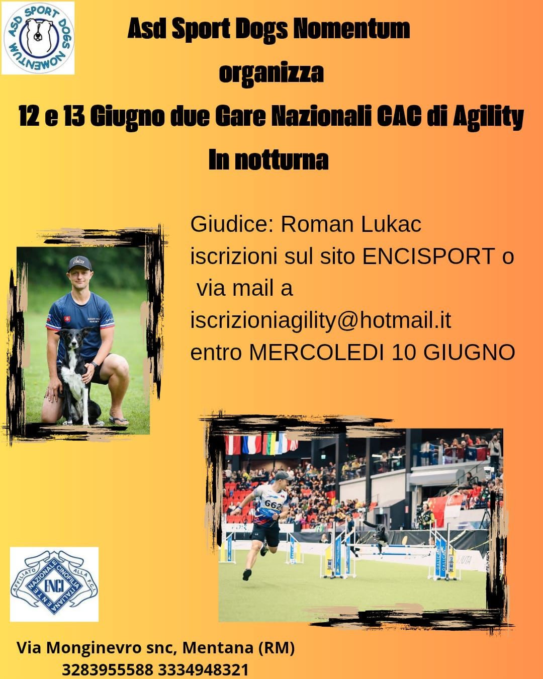 Gara di agility in notturna sabato 13 giugno
