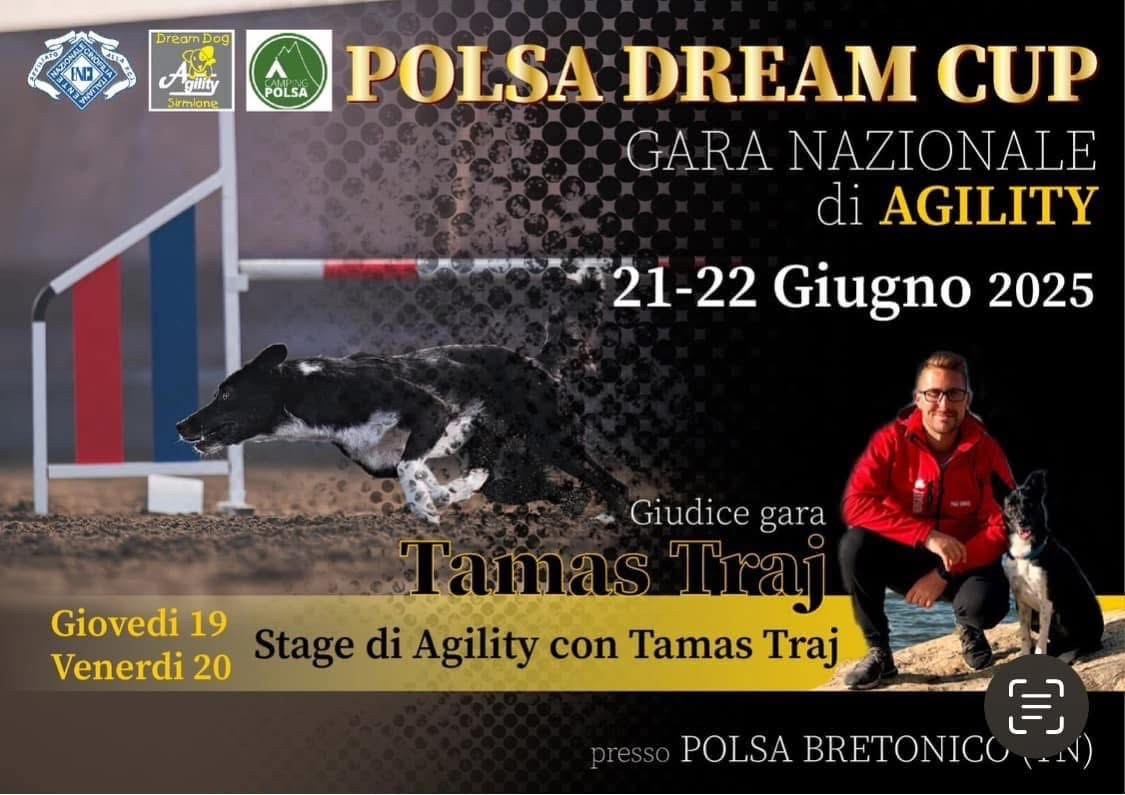 DREAMDOG GARA POLSA 
