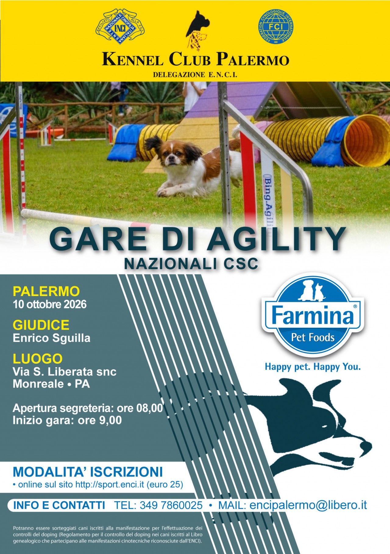Prove di Agility a palermo