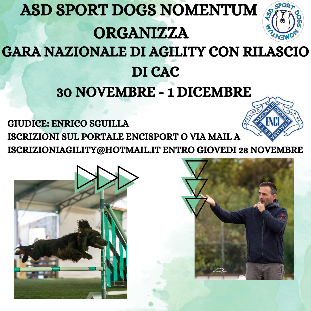 Gara di Agility sabato 30 novembre 