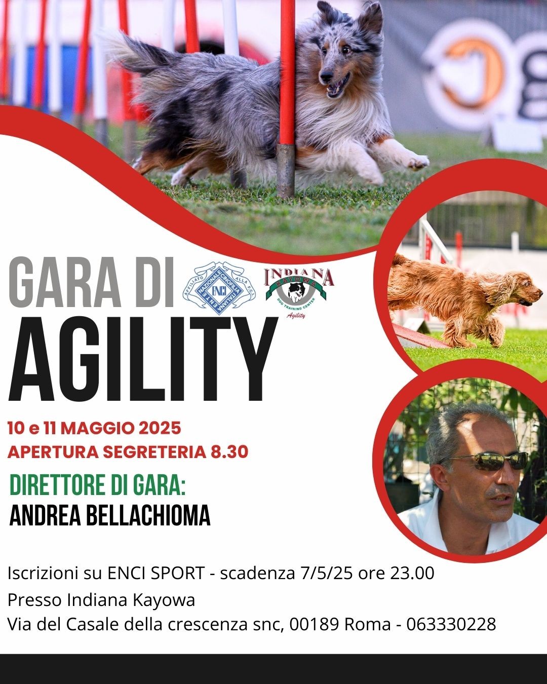 GARA AGILITY DOG 11 MAGGIO