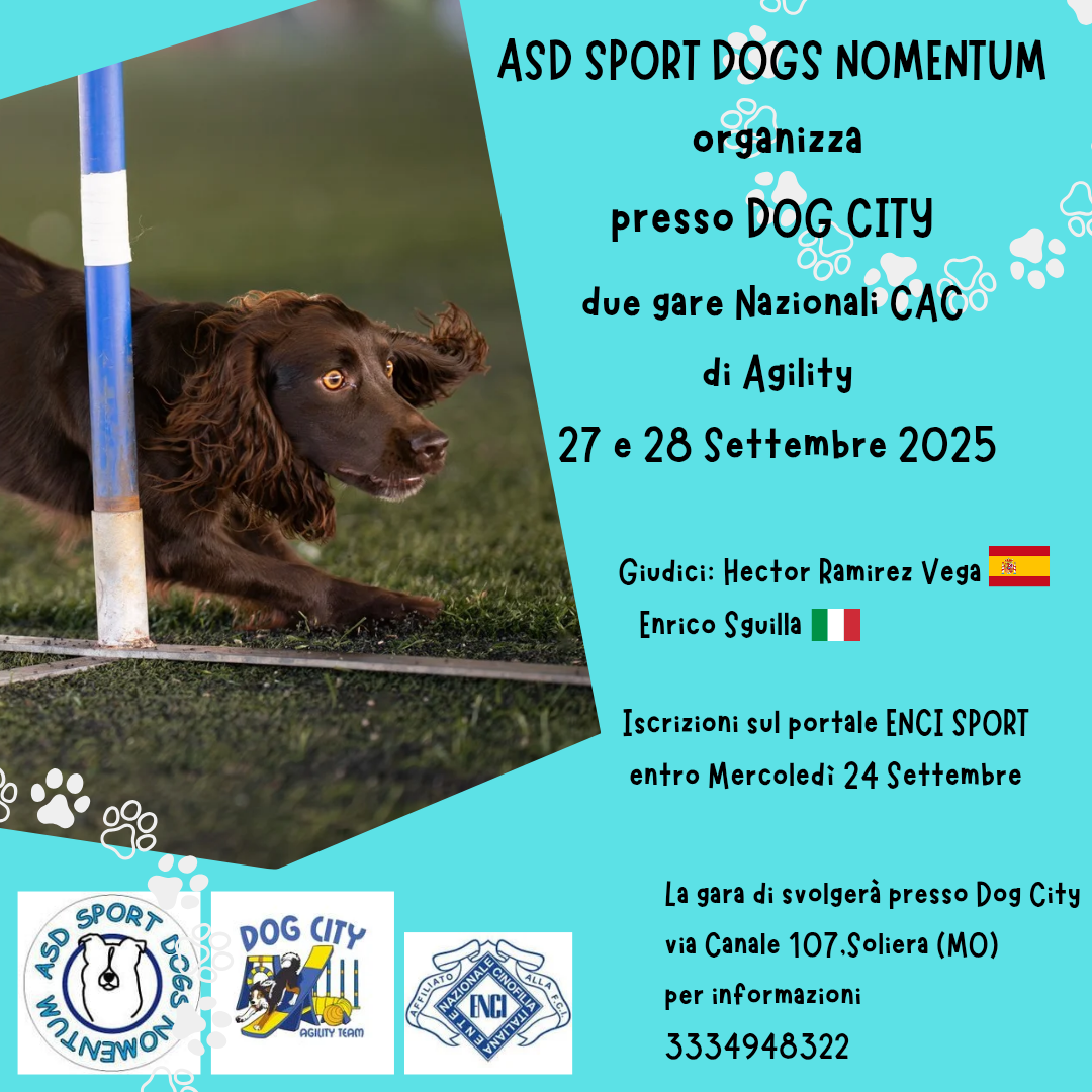Gara di Agility domenica 28 settembre 