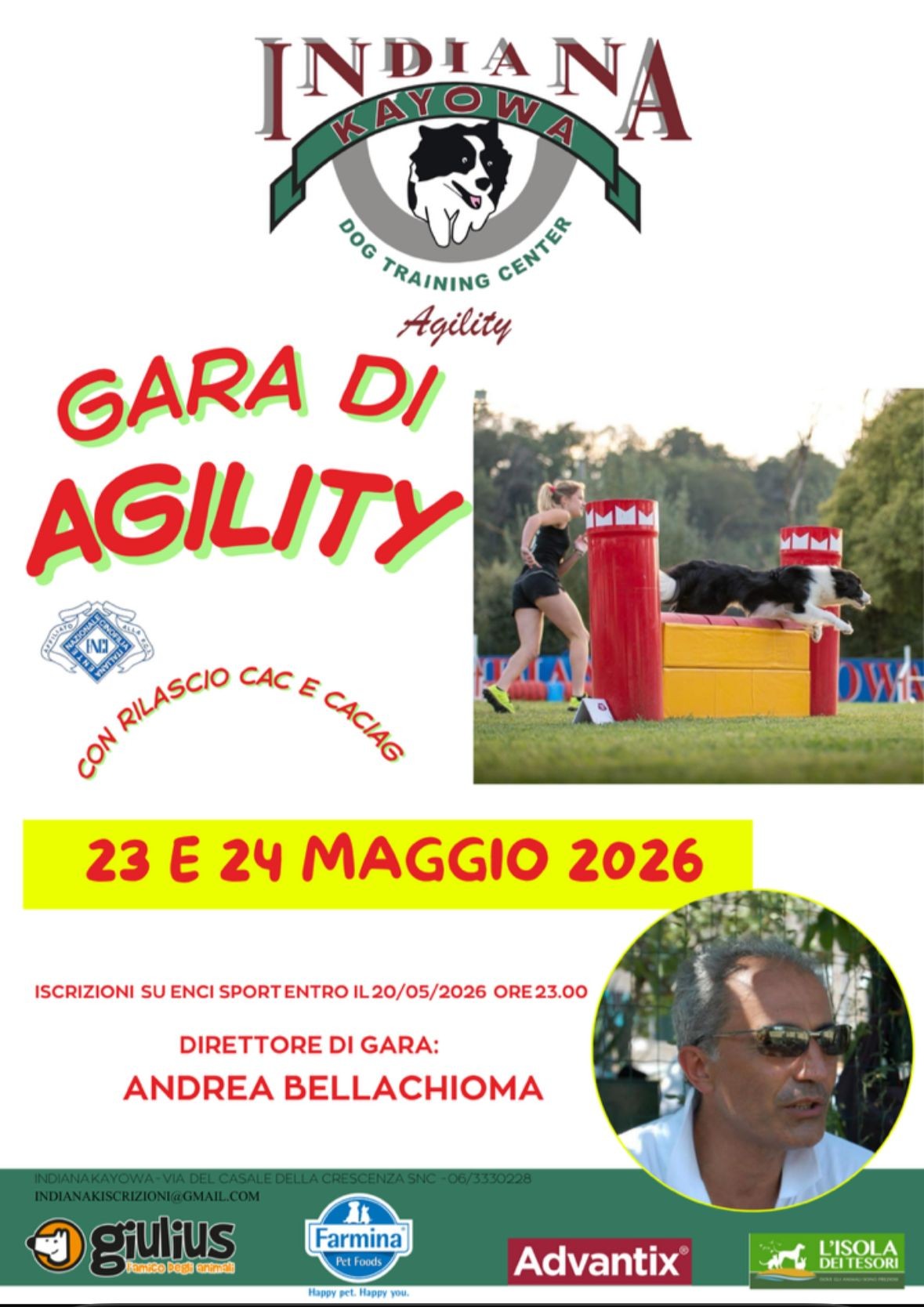 Gara Agility Dog