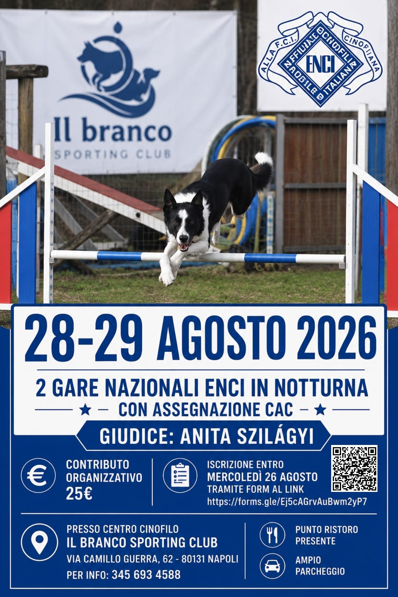 Gara di Agility in notturna del 28 e 29 Agosto 2026